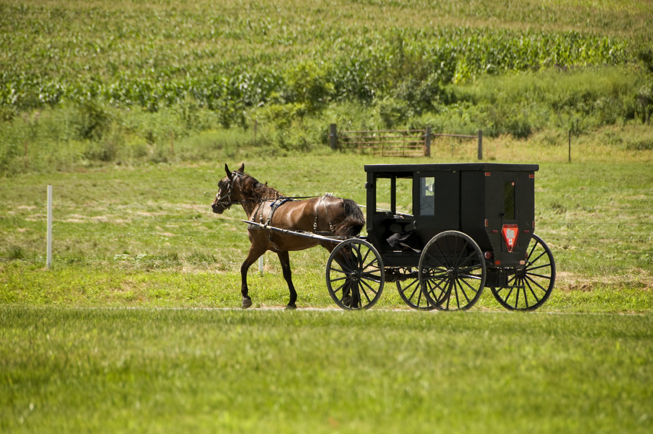 Danville Ohio is the Gateway to Amish Country